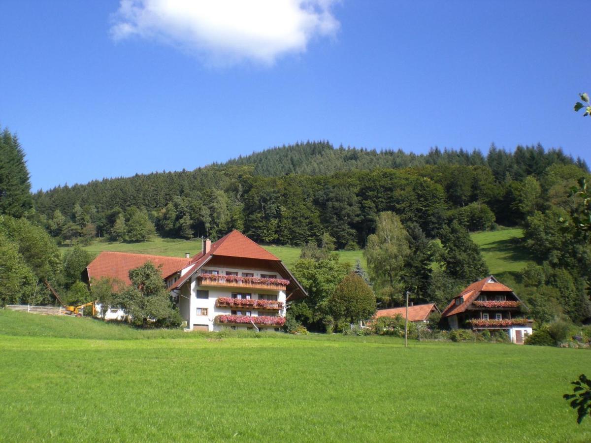 Appartement Geigerbauernhof à Mühlenbach Extérieur photo