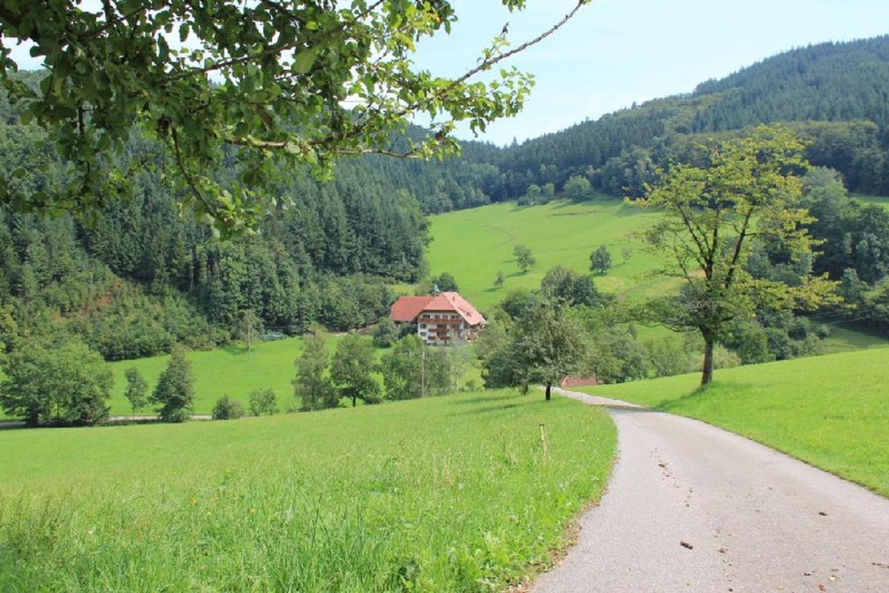Appartement Geigerbauernhof à Mühlenbach Extérieur photo