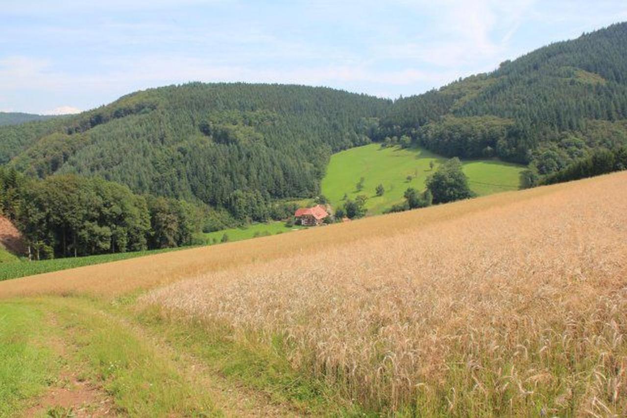 Appartement Geigerbauernhof à Mühlenbach Extérieur photo