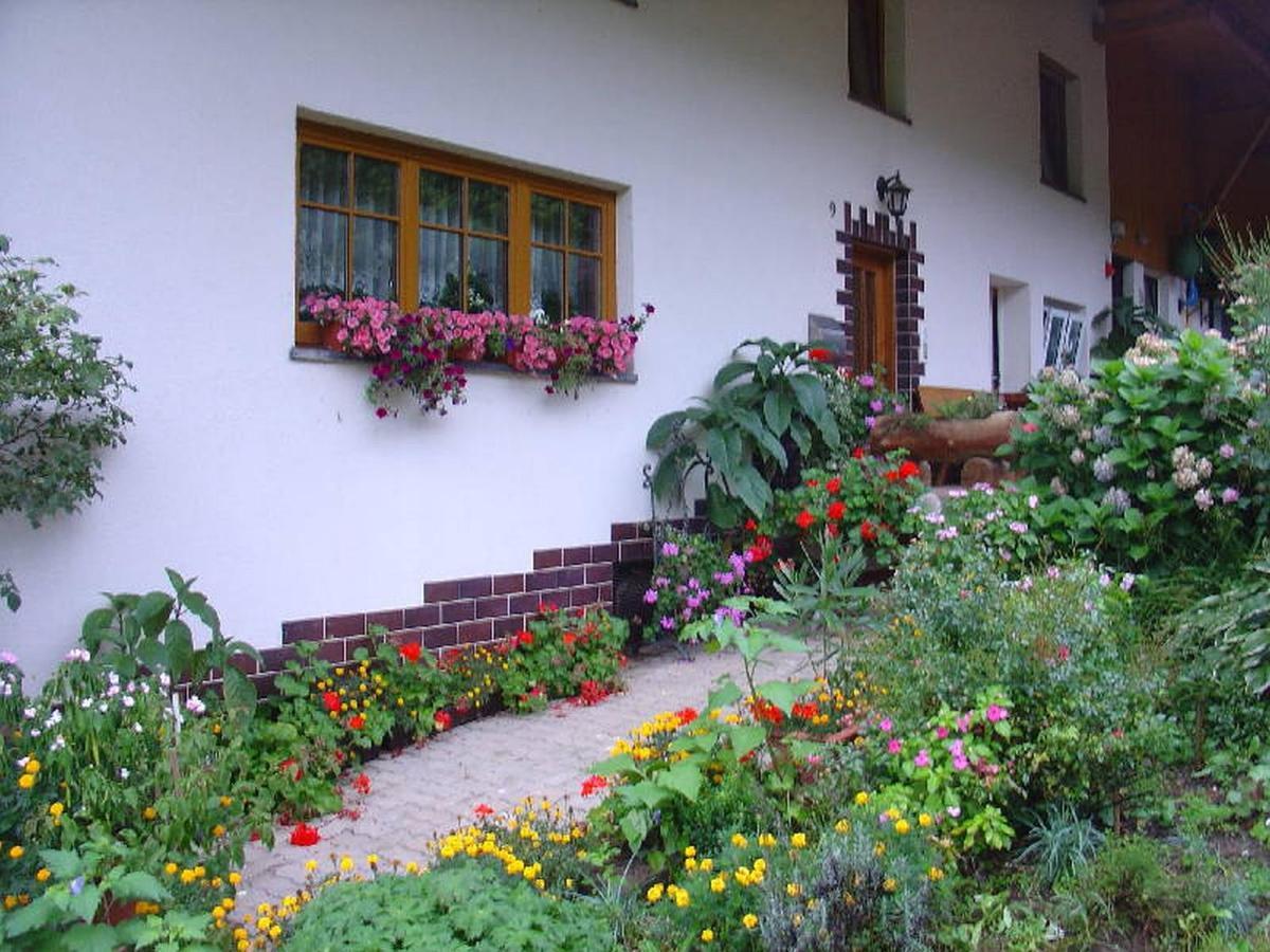 Appartement Geigerbauernhof à Mühlenbach Extérieur photo